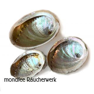 Abalone Muschel Räucherschale, verschiedene Größen