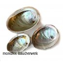 Abalone Muschel groß 12- 16cm Räucherschale