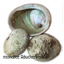 Abalone Muschel Räucherschale, verschiedene Größen